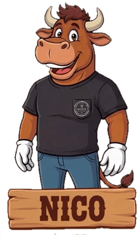 Nico the bull